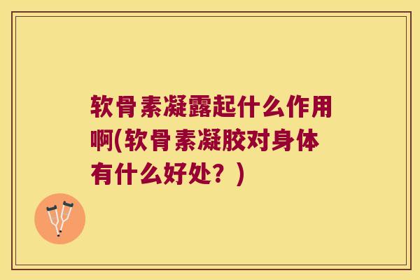 软骨素凝露起什么作用啊(软骨素凝胶对身体有什么好处?)