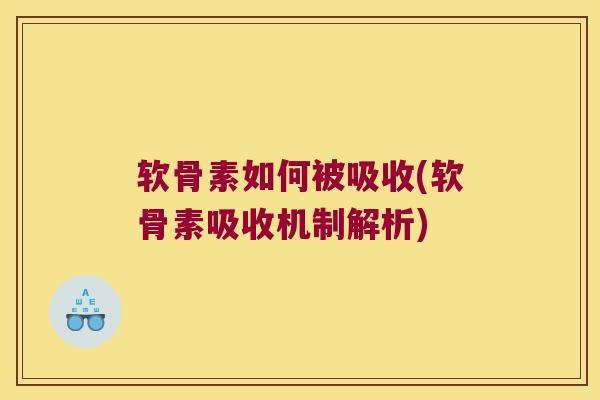 软骨素如何被吸收(软骨素吸收机制解析)