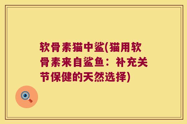 软骨素猫中鲨(猫用软骨素来自鲨鱼:补充关节保健的天然选择)