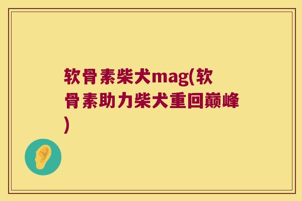 软骨素柴犬mag(软骨素助力柴犬重回巅峰)