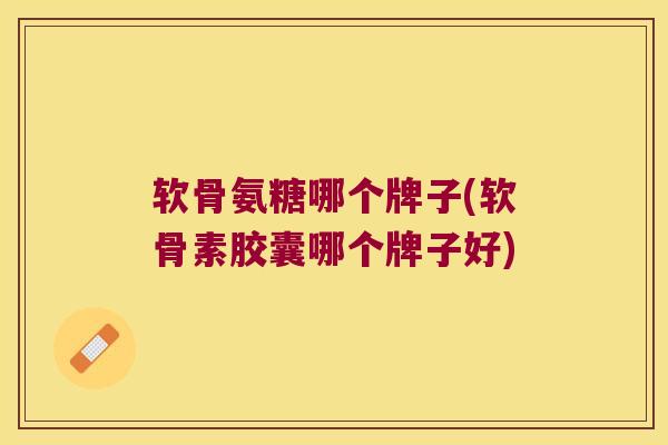软骨氨糖哪个牌子(软骨素胶囊哪个牌子好)