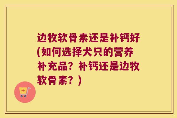 边牧软骨素还是补钙好(如何选择犬只的营养补充品？补钙还是边牧软骨素？)