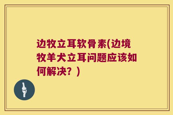 边牧立耳软骨素(边境牧羊犬立耳问题应该如何解决?)