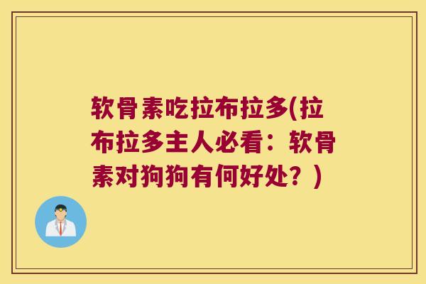 软骨素吃拉布拉多(拉布拉多主人必看:软骨素对狗狗有何好处?)