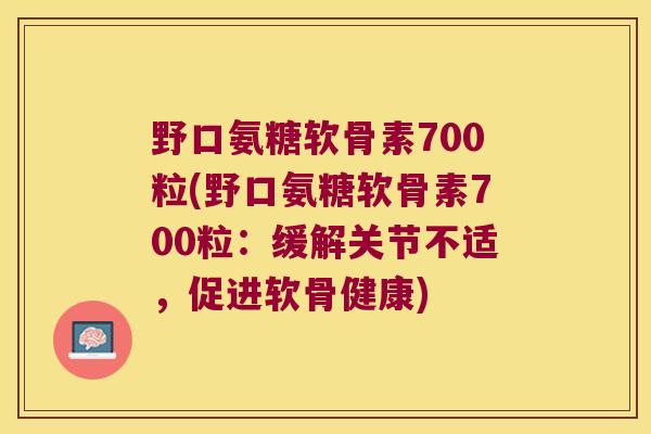 野口氨糖软骨素700粒(野口氨糖软骨素700粒：缓解关节不适，促进软骨健康)