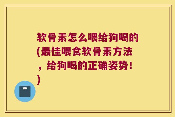 软骨素怎么喂给狗喝的(最佳喂食软骨素方法,给狗喝的正确姿势!)