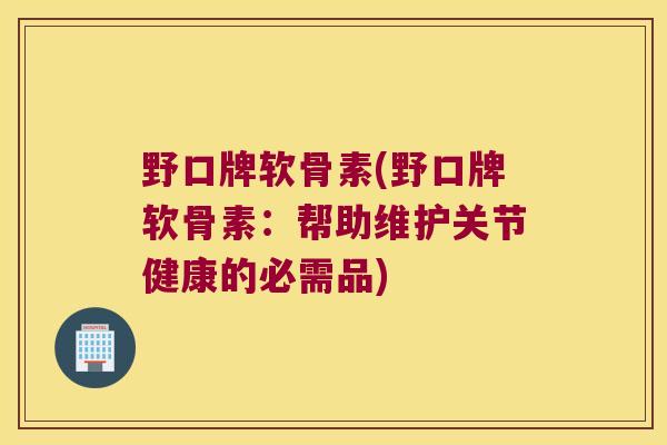 野口牌软骨素(野口牌软骨素:帮助维护关节健康的必需品)