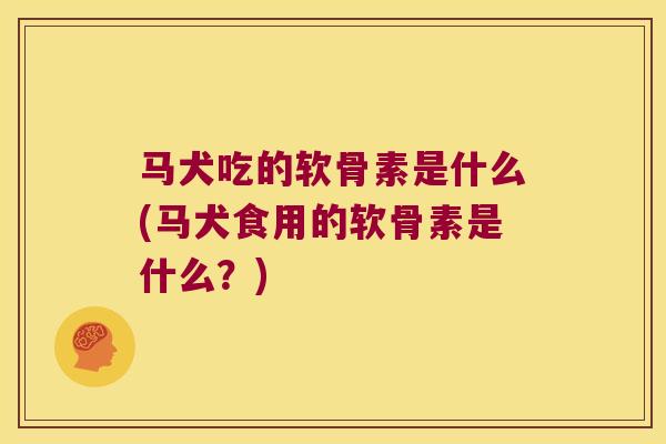 马犬吃的软骨素是什么(马犬食用的软骨素是什么?)