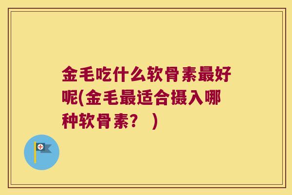 金毛吃什么软骨素最好呢(金毛最适合摄入哪种软骨素？ )