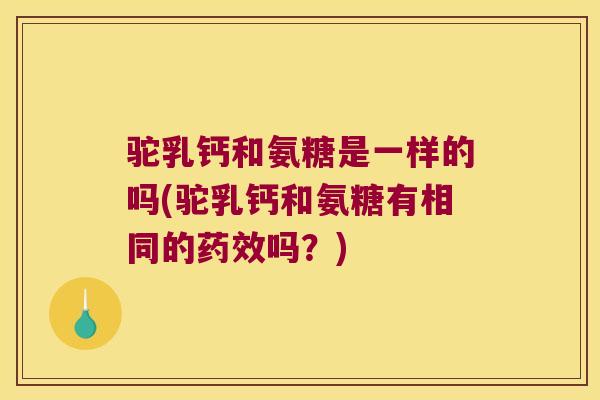 驼乳钙和氨糖是一样的吗(驼乳钙和氨糖有相同的药效吗?)