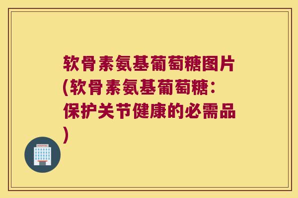 软骨素氨基葡萄糖图片(软骨素氨基葡萄糖：保护关节健康的必需品)