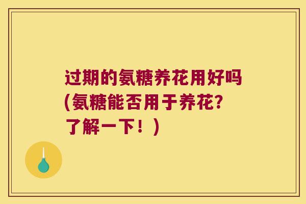 过期的氨糖养花用好吗(氨糖能否用于养花?了解一下!)