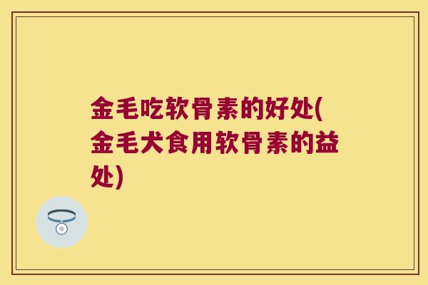 金毛吃软骨素的好处(金毛犬食用软骨素的益处)