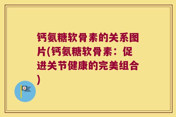 钙氨糖软骨素的关系图片(钙氨糖软骨素:促进关节健康的完美组合)