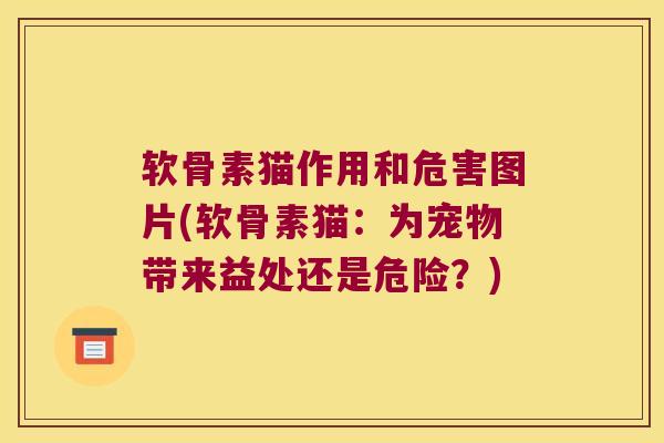软骨素猫作用和危害图片(软骨素猫:为宠物带来益处还是危险?)