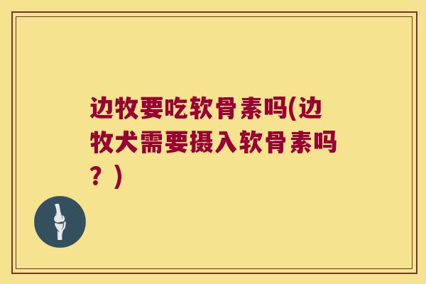 边牧要吃软骨素吗(边牧犬需要摄入软骨素吗?)