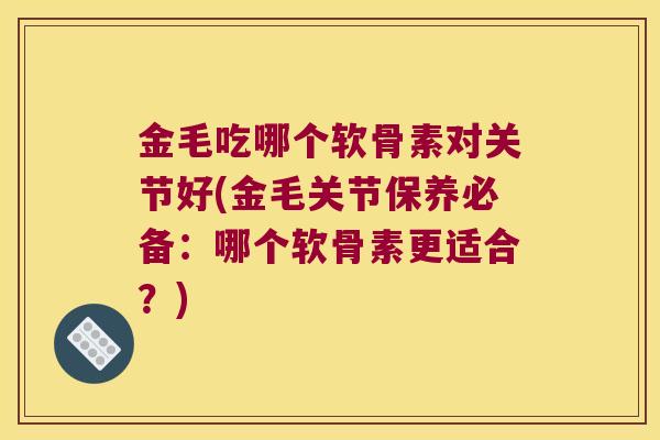 金毛吃哪个软骨素对关节好(金毛关节保养必备:哪个软骨素更适合?)