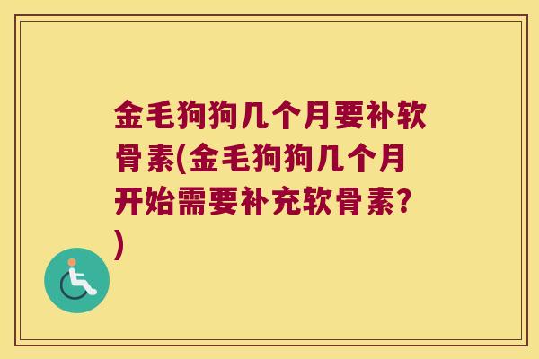 金毛狗狗几个月要补软骨素(金毛狗狗几个月开始需要补充软骨素?)