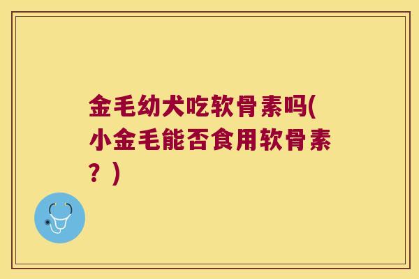 金毛幼犬吃软骨素吗(小金毛能否食用软骨素?)