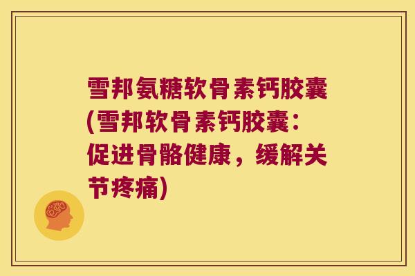 雪邦氨糖软骨素钙胶囊(雪邦软骨素钙胶囊:促进骨骼健康,缓解关节疼痛)