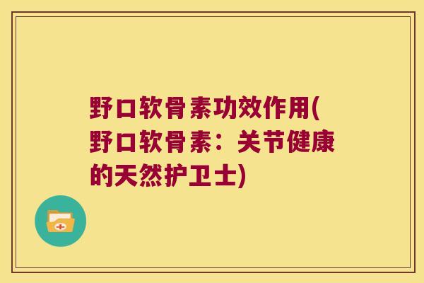 野口软骨素功效作用(野口软骨素:关节健康的天然护卫士)