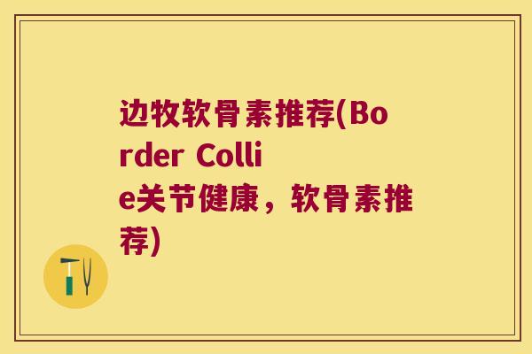 边牧软骨素推荐(Border Collie关节健康,软骨素推荐)