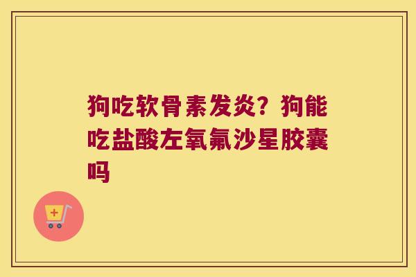 狗吃软骨素发炎?狗能吃盐酸左氧氟沙星胶囊吗