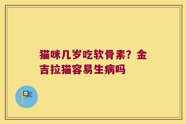 猫咪几岁吃软骨素?金吉拉猫容易生病吗