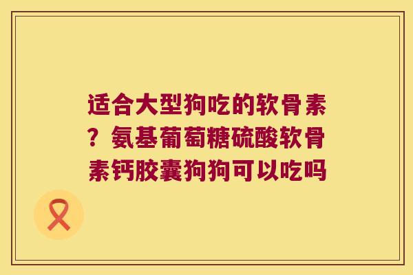 适合大型狗吃的软骨素?氨基葡萄糖硫酸软骨素钙胶囊狗狗可以吃吗