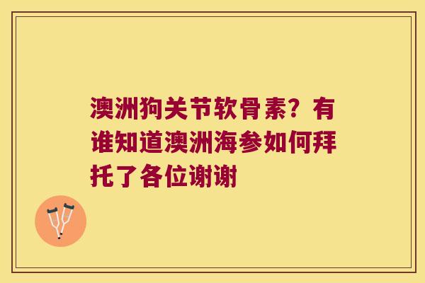 澳洲狗关节软骨素?有谁知道澳洲海参如何拜托了各位谢谢