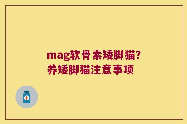 mag软骨素矮脚猫?养矮脚猫注意事项