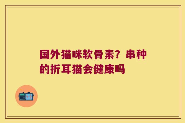 国外猫咪软骨素?串种的折耳猫会健康吗