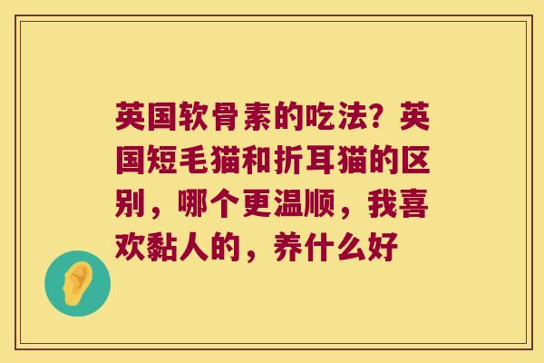 英国软骨素的吃法?英国短毛猫和折耳猫的区别,哪个更温顺,我喜欢黏人的,养什么好