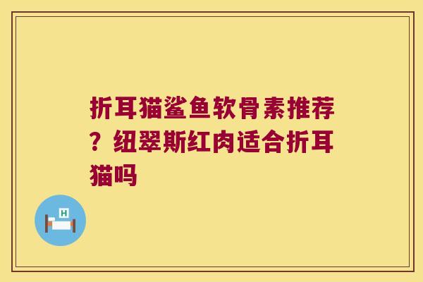 折耳猫鲨鱼软骨素推荐?纽翠斯红肉适合折耳猫吗