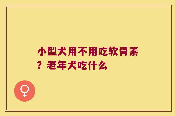 小型犬用不用吃软骨素?老年犬吃什么