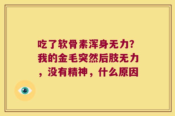 吃了软骨素浑身无力?我的金毛突然后肢无力,没有精神,什么原因