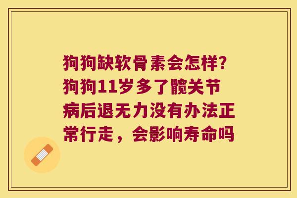 狗狗缺软骨素会怎样?狗狗11岁多了髋关节病后退无力没有办法正常行走,会影响寿命吗