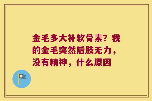金毛多大补软骨素?我的金毛突然后肢无力,没有精神,什么原因