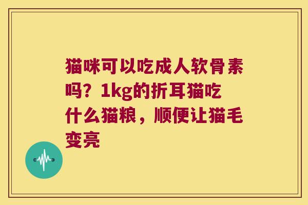 猫咪可以吃成人软骨素吗?1kg的折耳猫吃什么猫粮,顺便让猫毛变亮