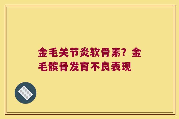 金毛关节炎软骨素?金毛髌骨发育不良表现