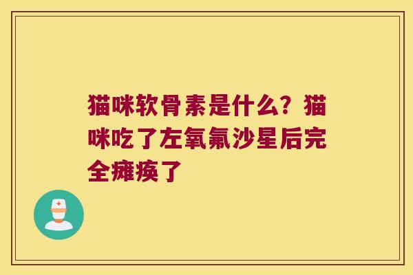 猫咪软骨素是什么?猫咪吃了左氧氟沙星后完全瘫痪了