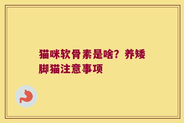 猫咪软骨素是啥?养矮脚猫注意事项 猫咪软骨素是啥?养矮脚猫注意事项