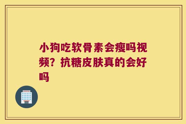 小狗吃软骨素会瘦吗视频?抗糖皮肤真的会好吗