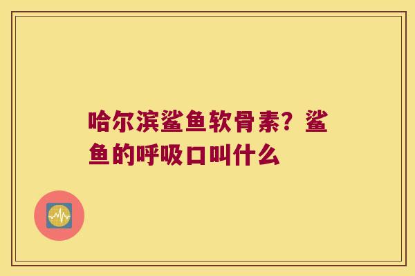 哈尔滨鲨鱼软骨素?鲨鱼的口叫什么 哈尔滨鲨鱼软骨素?鲨鱼的口叫什么