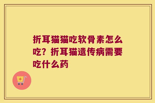 折耳猫猫吃软骨素怎么吃？折耳猫遗传病需要吃什么药