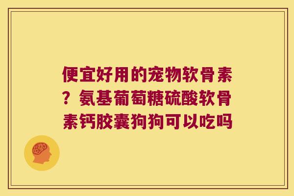 便宜好用的宠物软骨素?氨基葡萄糖硫酸软骨素钙胶囊狗狗可以吃吗