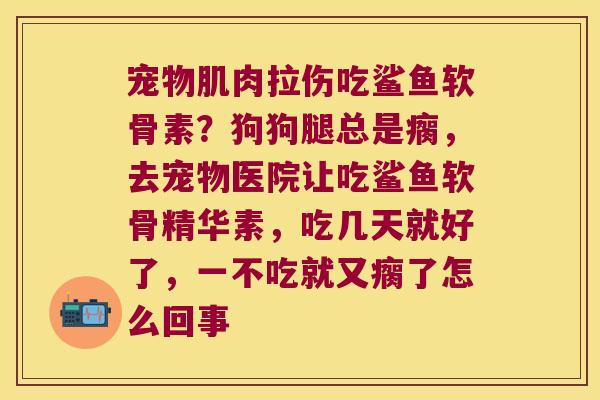 宠物肌肉拉伤吃鲨鱼软骨素?狗狗腿总是瘸,去宠物医院让吃鲨鱼软骨精华素,吃几天就好了,一不吃就又瘸了怎么回事 宠物肌肉拉伤吃鲨鱼软骨素?狗狗腿总是瘸,去宠物医院让吃鲨鱼软骨精华素,吃几天就好了,一不吃就又瘸了怎么回事