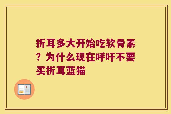 折耳多大开始吃软骨素?为什么现在呼吁不要买折耳蓝猫