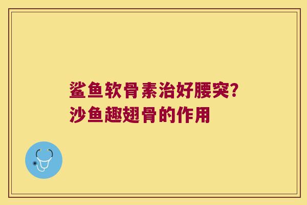 鲨鱼软骨素治好腰突?沙鱼趣翅骨的作用