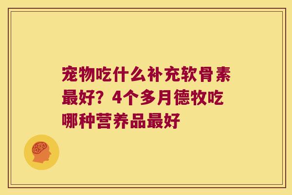宠物吃什么补充软骨素最好?4个多月德牧吃哪种营养品最好
